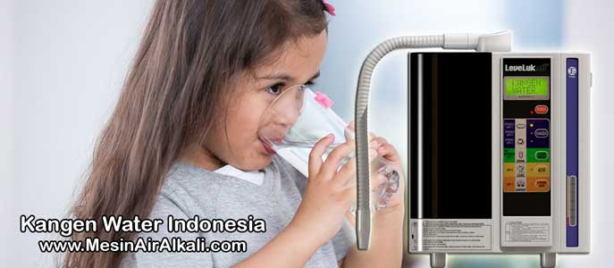 harga mesin kangen water enagic manfaat