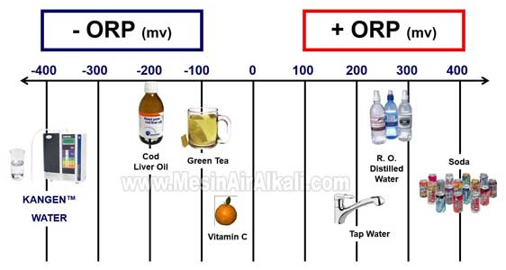antioksidasi kangen water
